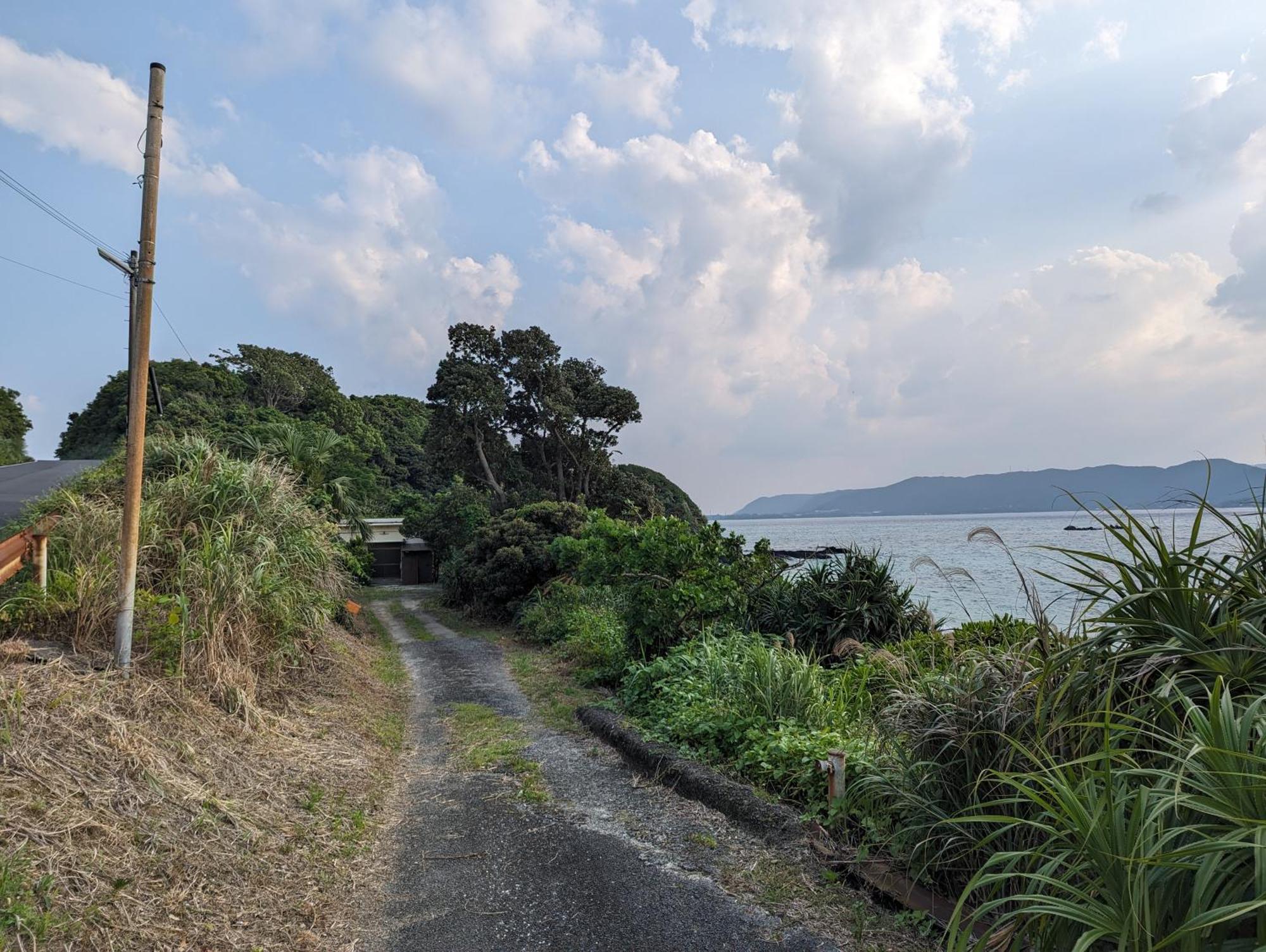 くじらの家 Villa Amami Kültér fotó