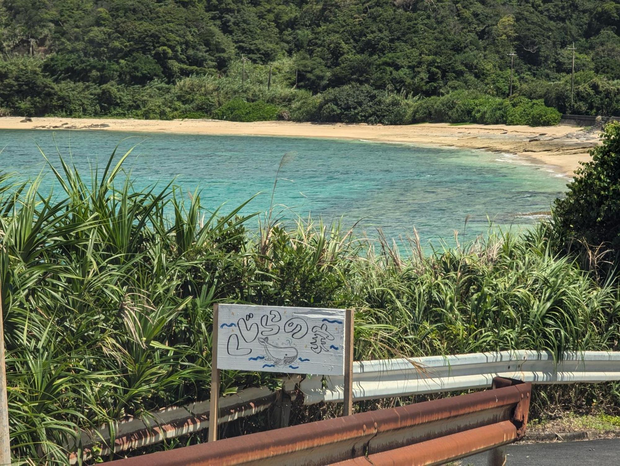 くじらの家 Villa Amami Kültér fotó